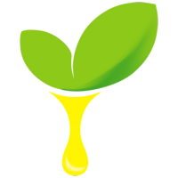 tulsi oil (100gm)