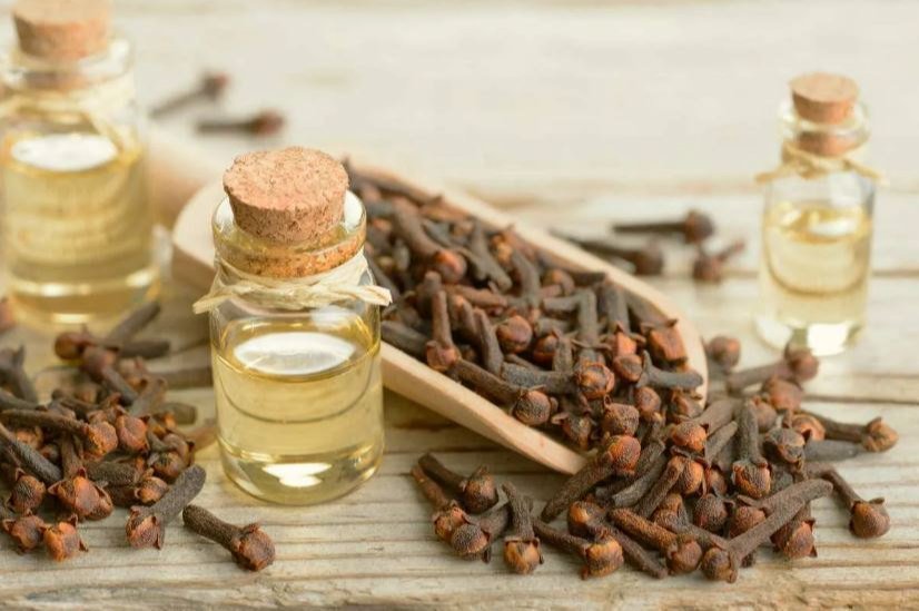 Clove Loung Oil (30ml) - Image 2